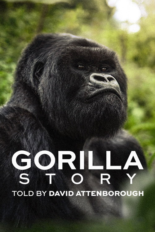 A Gorilla Story: Told by David Attenborough  (2026)